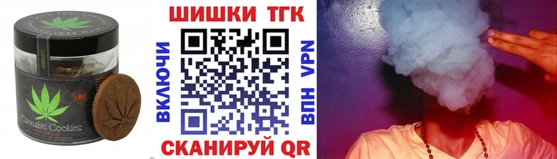 купить закладку  МЕГА маркетплейс  Canna-Cookies конопля  Железногорск-Илимский 