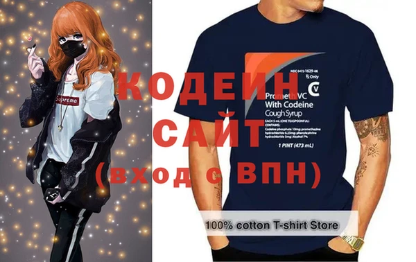прущий лед Алзамай
