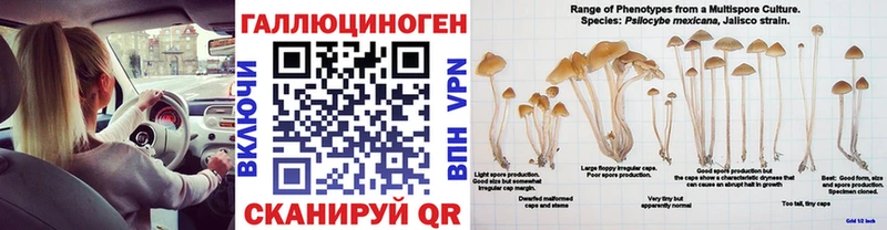 blacksprut ТОР  Железногорск-Илимский  Псилоцибиновые грибы GOLDEN TEACHER 
